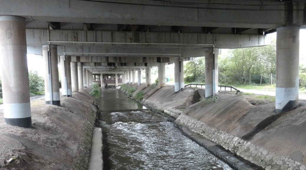 Urban River Survey – Modular River Survey