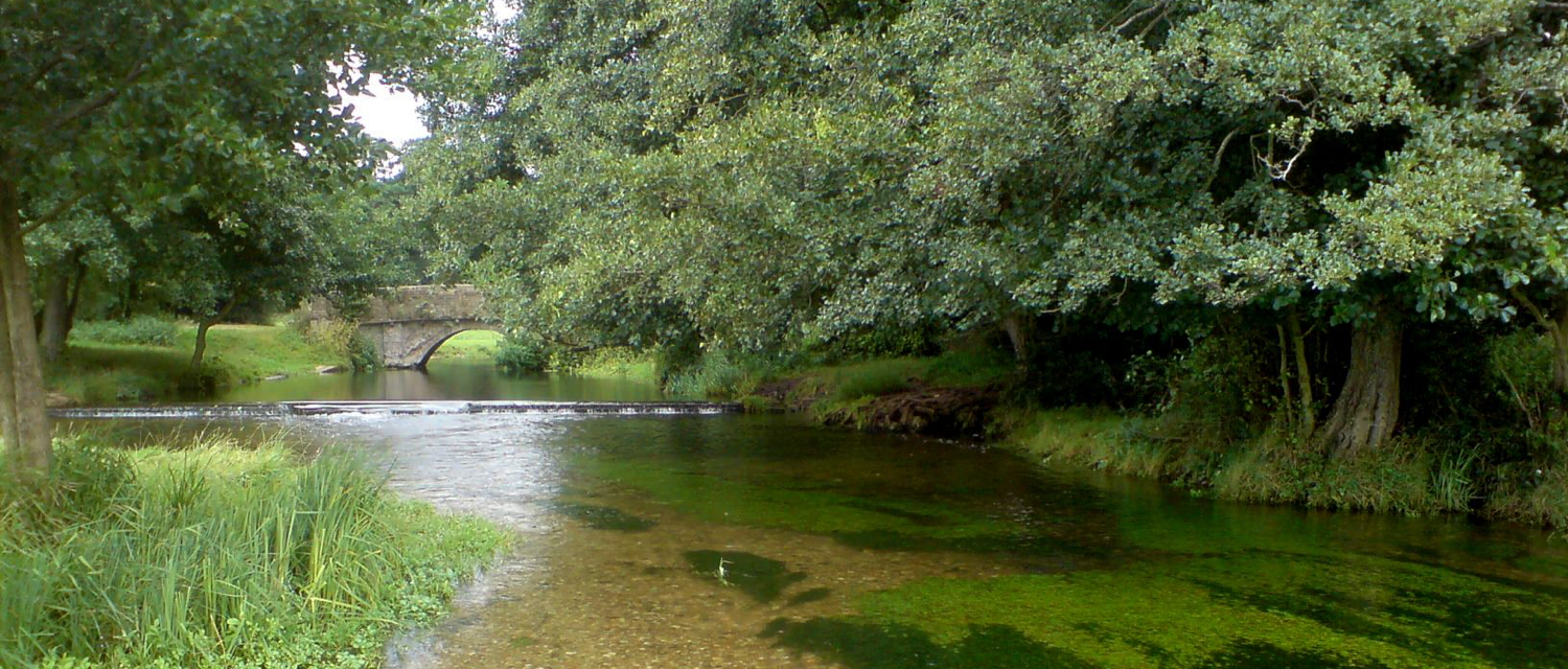 River Condition Assessment for appraisals & Biodiversity Net Gain calculations