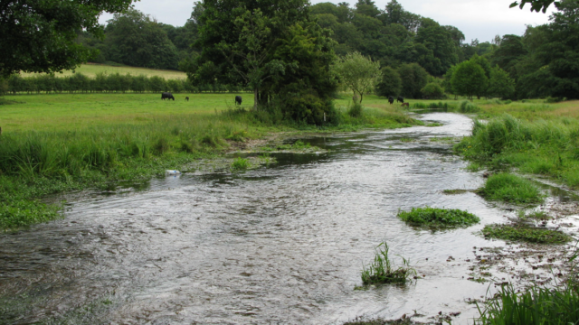 River Condition Assessment online training in 2021
